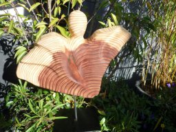 X-50 | majestätisch | Mammutbaum / Redwood (auf Stele) | 34/34/8 cm